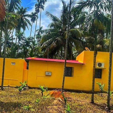 Shivalaya Farmstay Located Amdist Coconut Farm With River Access Near Isha,Adiyogi,Siruvani Alāndurai المظهر الخارجي الصورة