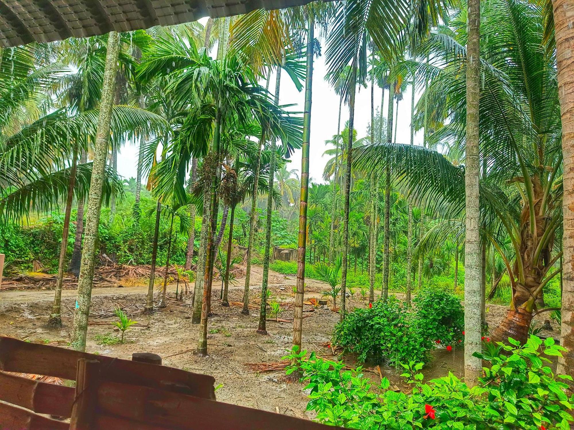 Shivalaya Farmstay Located Amdist Coconut Farm With River Access Near Isha,Adiyogi,Siruvani Alāndurai المظهر الخارجي الصورة