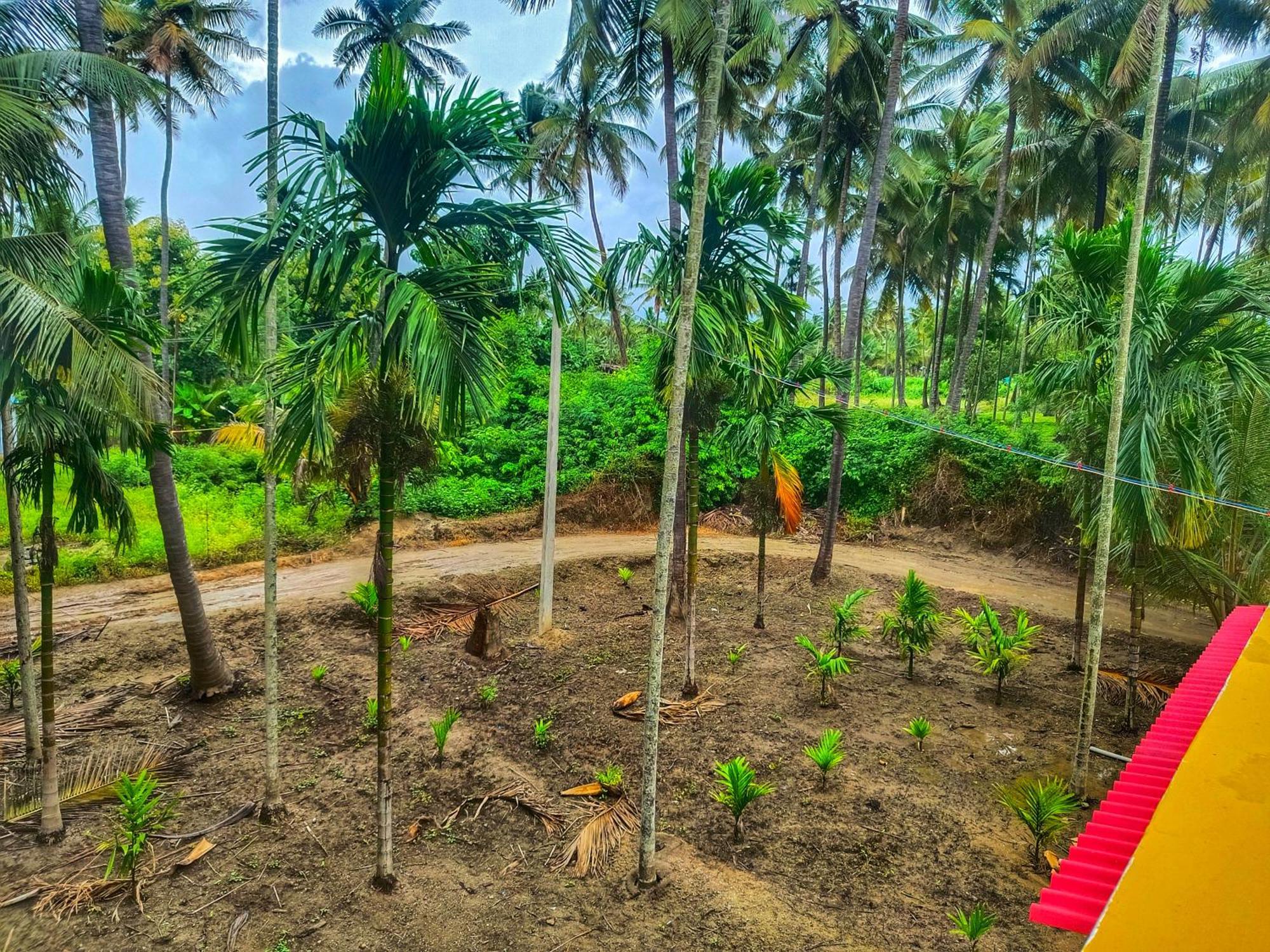 Shivalaya Farmstay Located Amdist Coconut Farm With River Access Near Isha,Adiyogi,Siruvani Alāndurai المظهر الخارجي الصورة