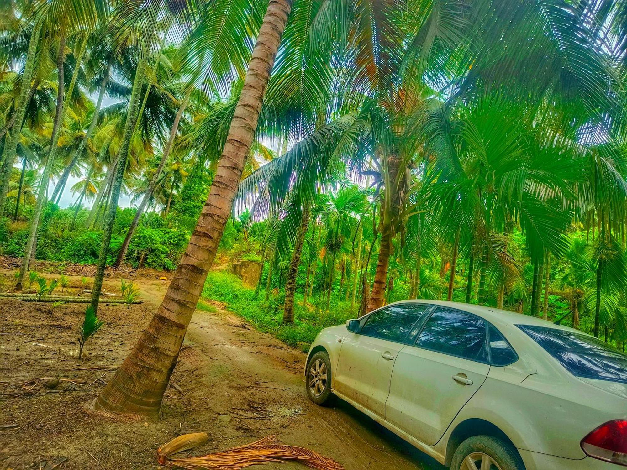 Shivalaya Farmstay Located Amdist Coconut Farm With River Access Near Isha,Adiyogi,Siruvani Alāndurai المظهر الخارجي الصورة